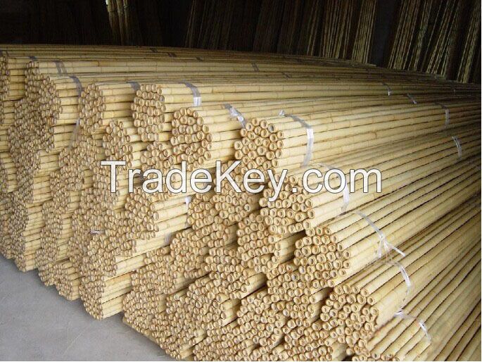 Cheap StraightRaw Dry Tonkin Bamboo Poles