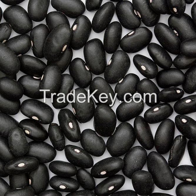 Myanmar Black Beans