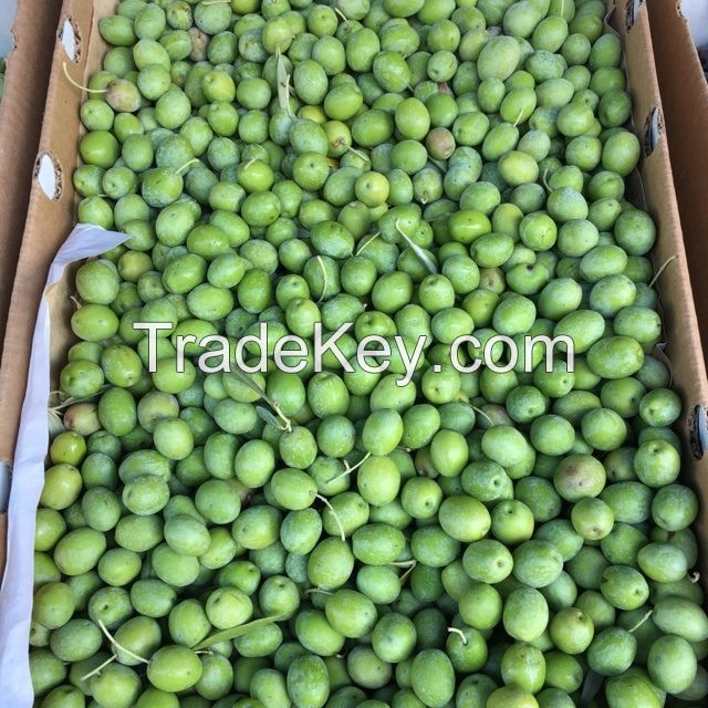 Green Olives