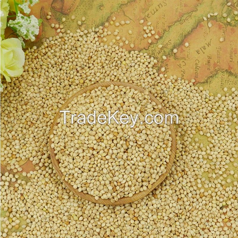 Yellow Millet