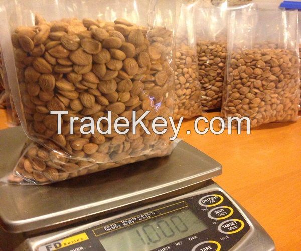 Apricot Kernel