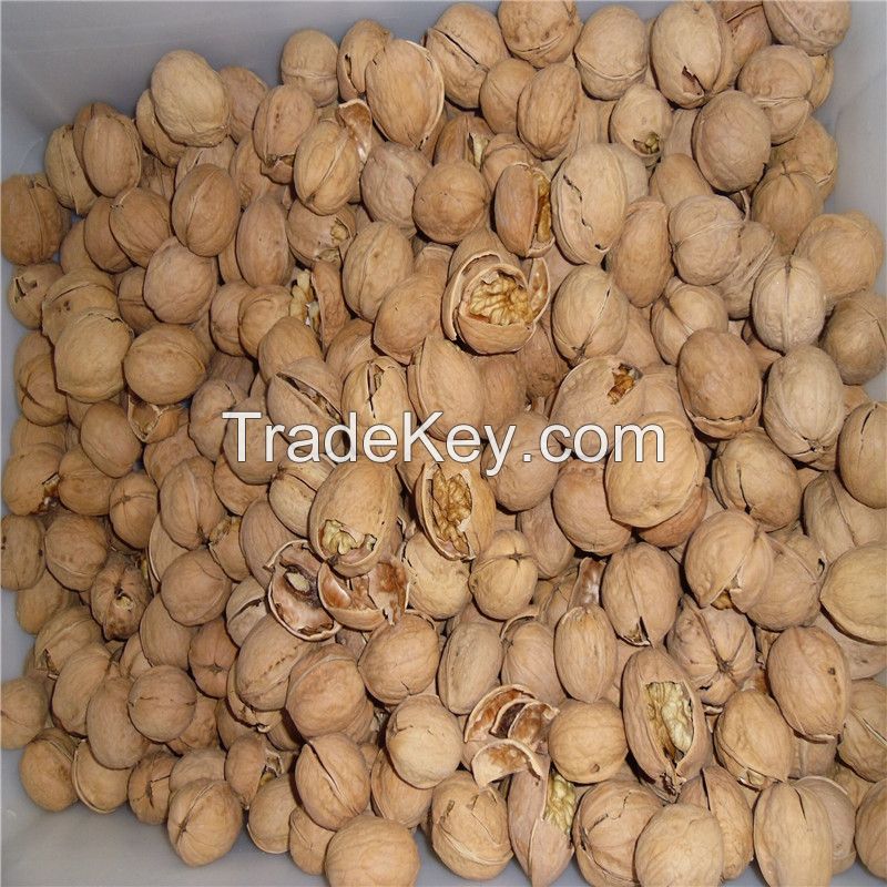 Inshell Walnuts