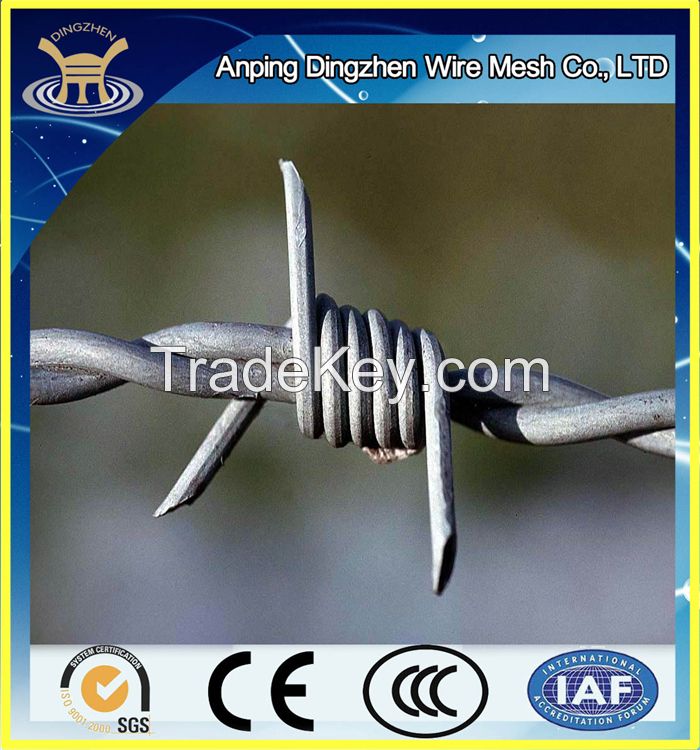 galvanzied 14X14 barbed wire for sale