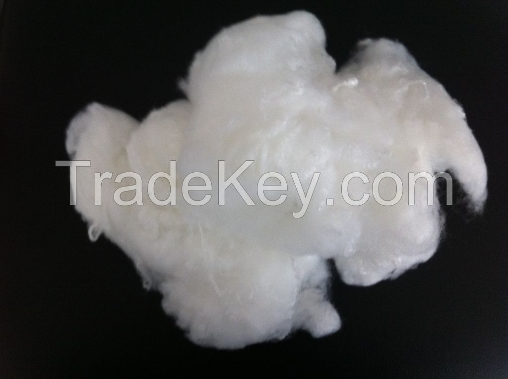 polyester fiber