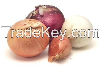 Onions