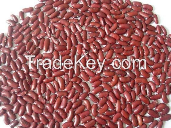 Kidney Beans/Black Beans/Fava Beans/Broad beans