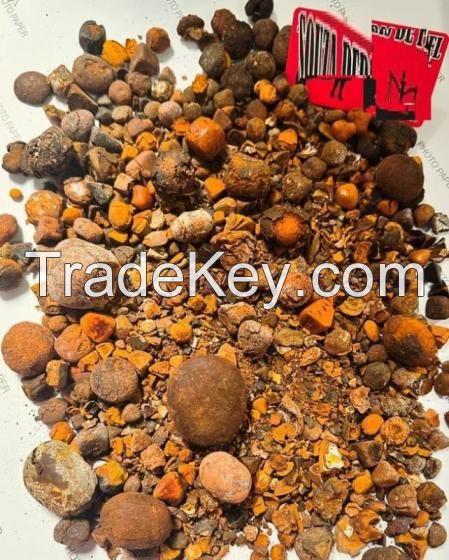 Ox Cow Gallstones