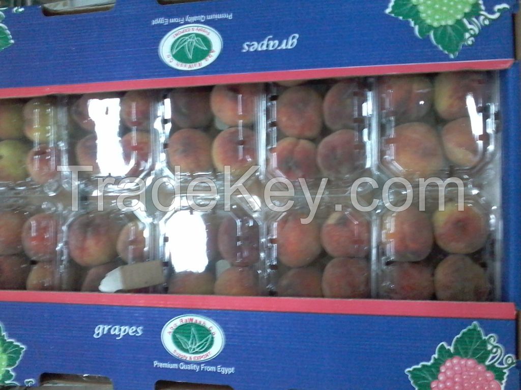 Fresh peaches for sale in egypt