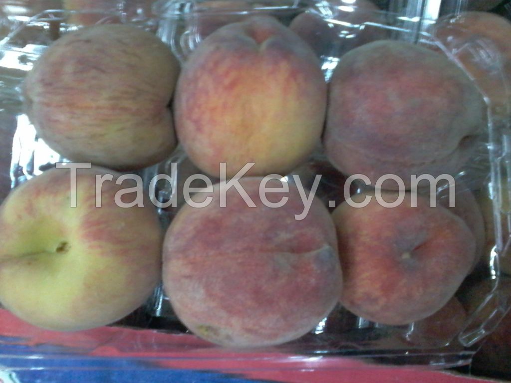Fresh Peaches from Egypt