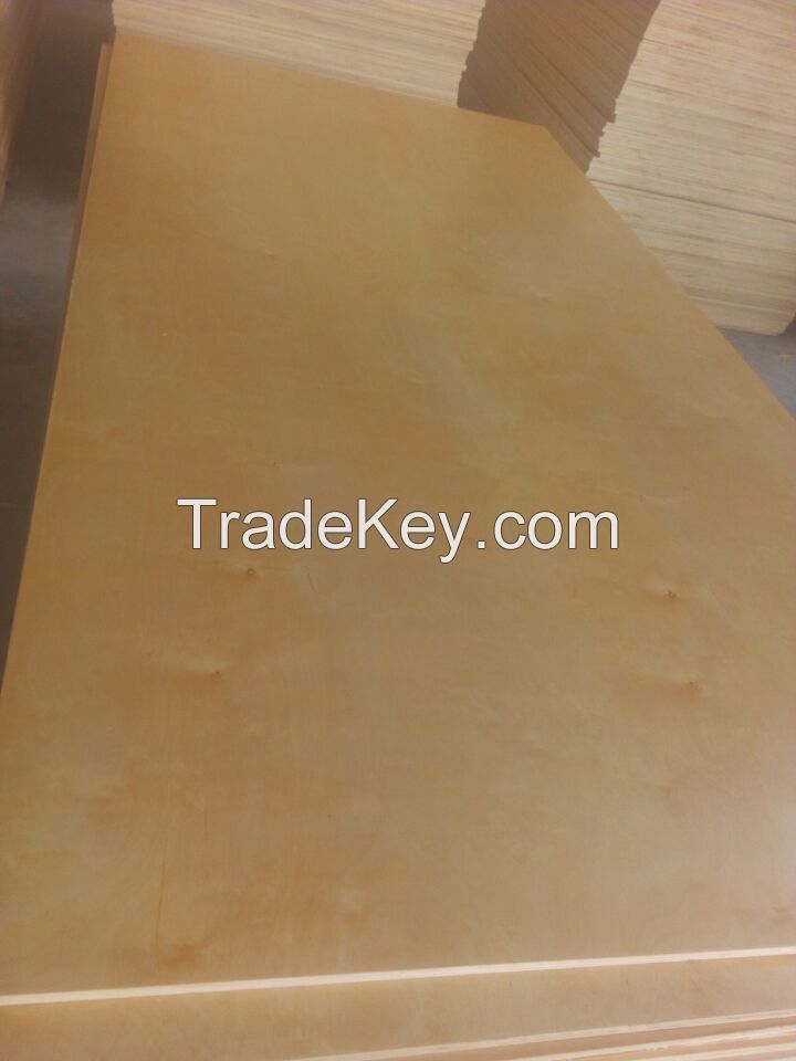 16mm Two Sides UV Birch Plywood E2 E1 Glue to Canada for Cabinet