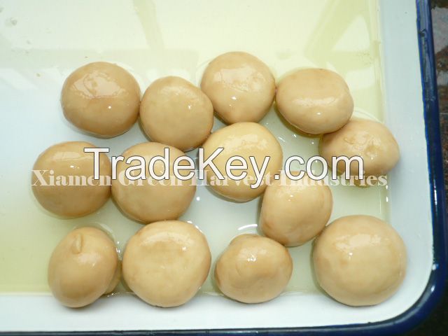 canned mushroom pns in brine 400g/2840g for export from china to middle east