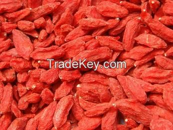 Chinese dried goji berry / dried wolfberry