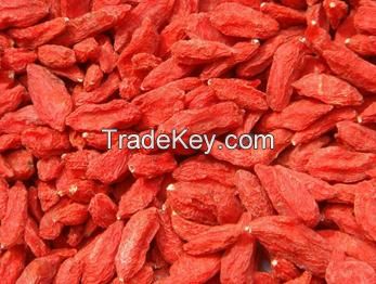 Ningxia Organic Sun Dried Goji Berries Strengthen Immunity