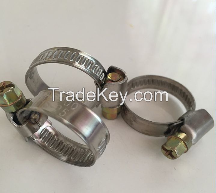 American Type Hose Clamp