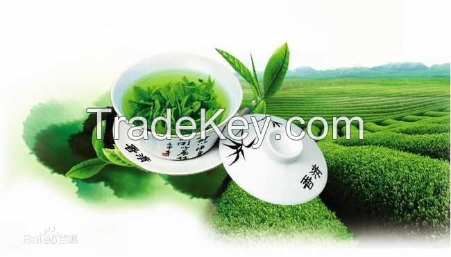 Chinese Green tea
