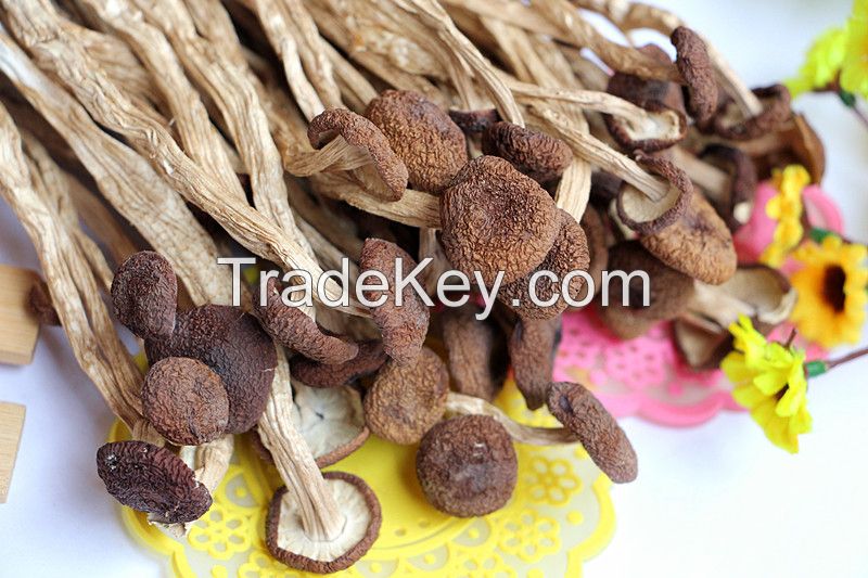 Sell Dried mushrooms(Dried Tremella)
