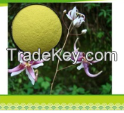 Epimedium Extract