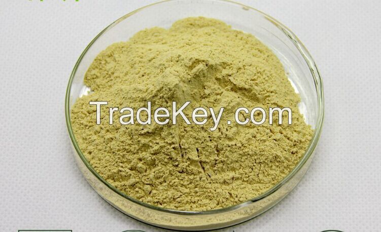 Damiana P.E / Extract Powder