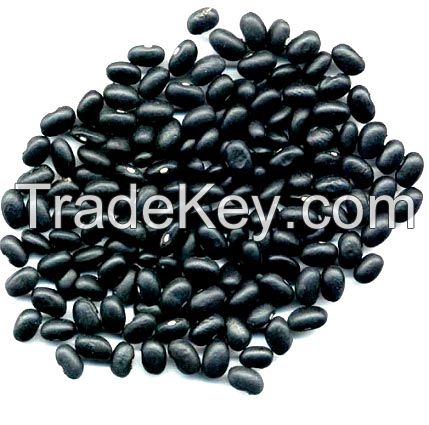 USDA Certified organic #2 Black Beans