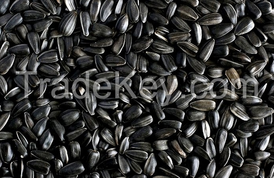 sunflower seed