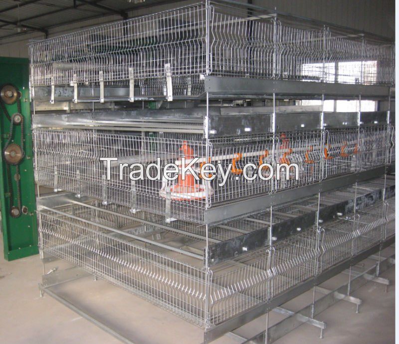 Automatic Egg Layer Chicken Cage with Feeding System