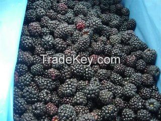 Frozen blackberry