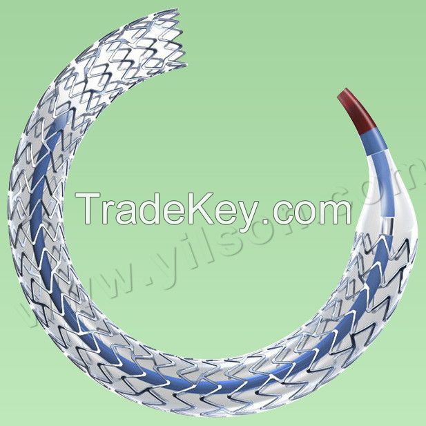 Sirolimus Eluting Coronary Stent