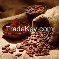 Best Quality Grade A Cocoa Beans