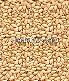 sesame seeds