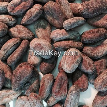 RAW COCOA BEANS