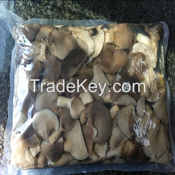 Oyster Mushrooms