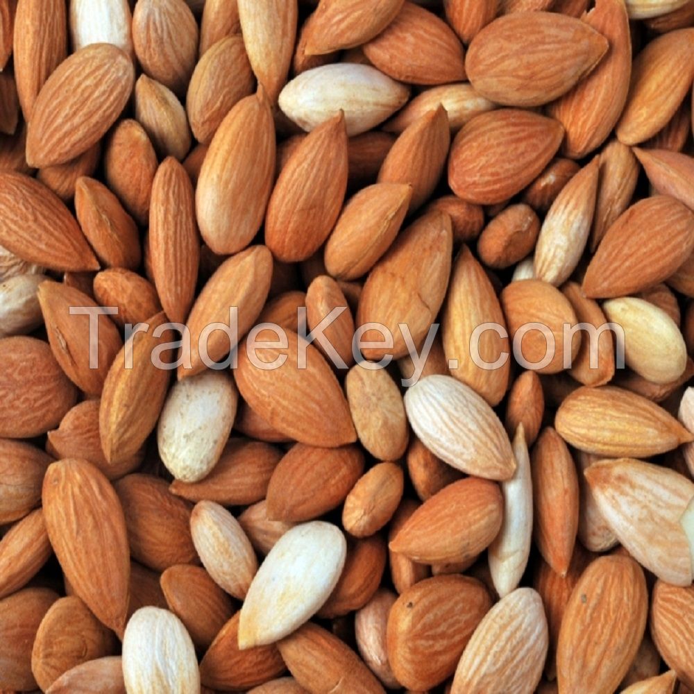 Raw apricot kernels