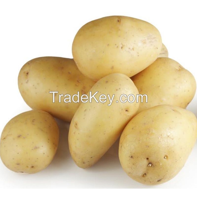 Fresh Potatoes