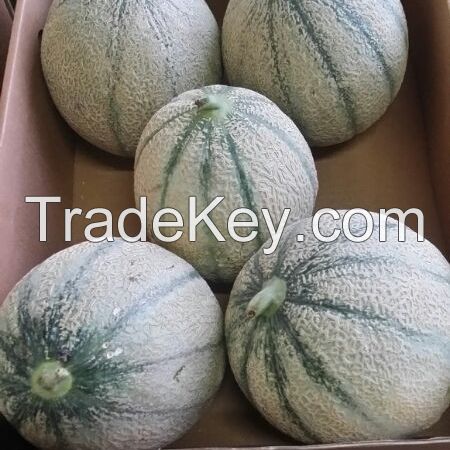 Fresh Melons
