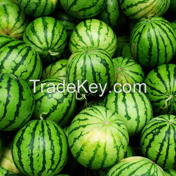 Fresh Water Melons