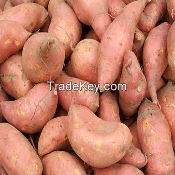 Fresh Sweet Potatoes