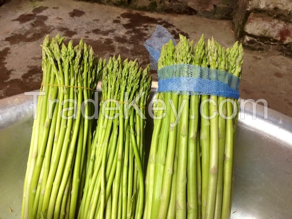 Fresh Asparagus