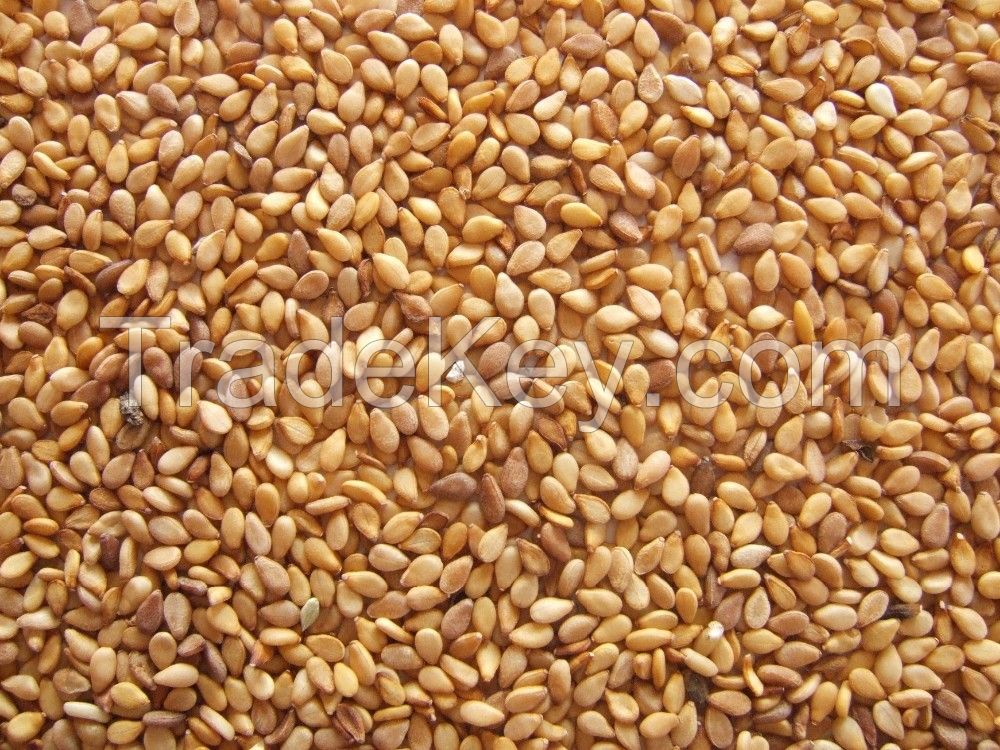 Turkish Golden sesame Seeds