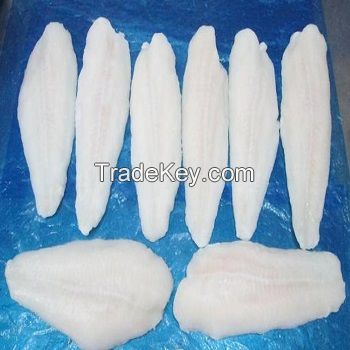 Frozen pangasius fillet well-trimmed