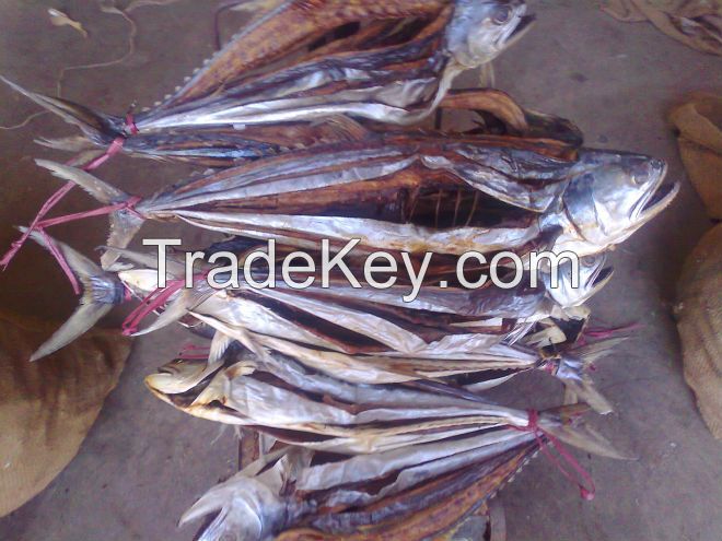 dried queen fish