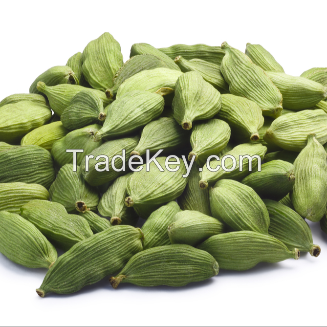 Cardamom