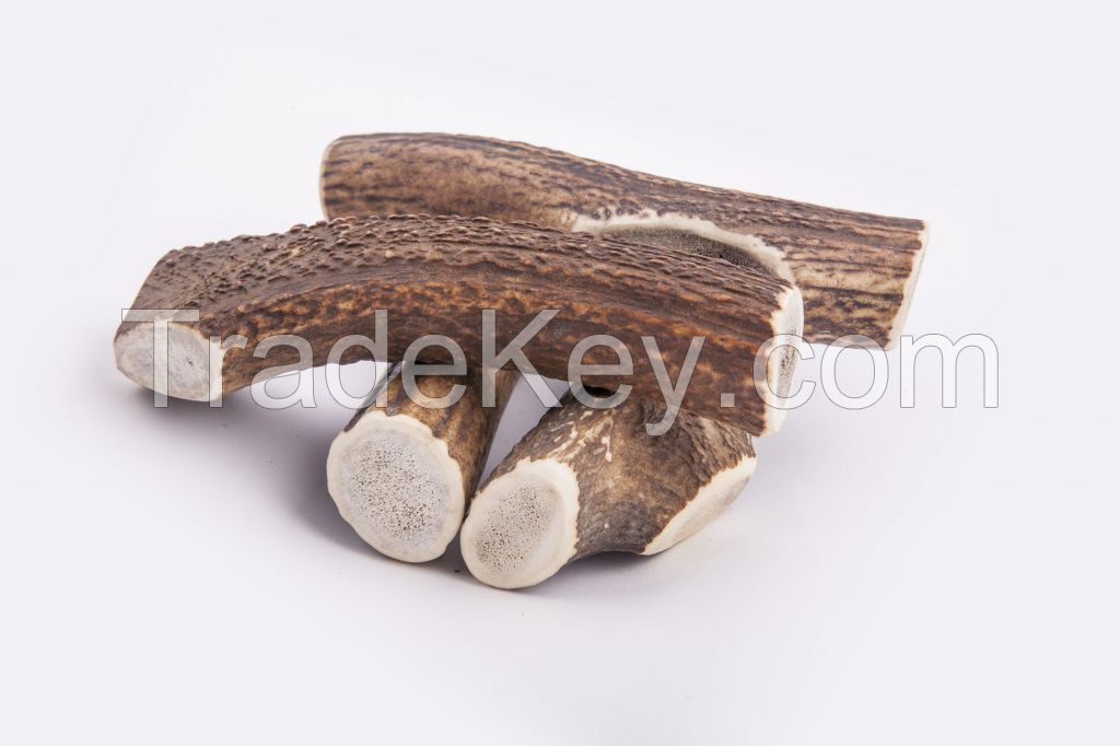 Red Deer Antler Dog Chew