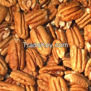 High Quality Pecan nuts for sale