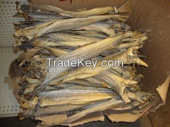 Cod Dried Head and bones