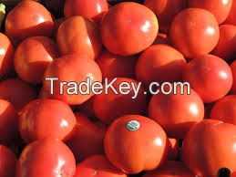 Fresh tomatoes