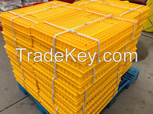 Plastic chicken transport cage for live/adult chicken