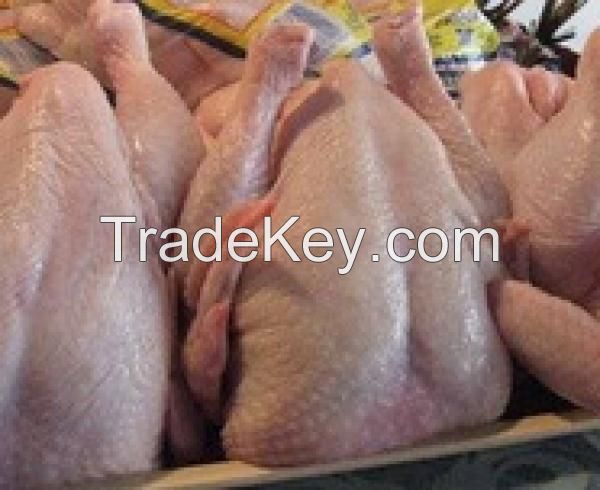 PROCESSED HALAL FROZEN CHICKEN QUARTER LEGS/ WHOLE CHICKEN/GRADE A CHICKEN