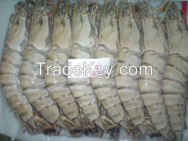 Live and Frozen Black Tiger Shrimp