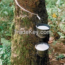 Natural Rubber latex rubber