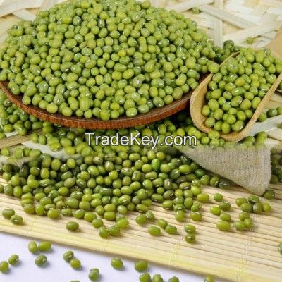 high quality mung beans for sales , organic